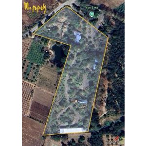 ขายกิจการรีสอร์ท ที่ปากช่อง-เขาใหญ่โอกาสทองสำหรับคนที่อยากลงทุนใกล้เขาใหญ่! พื้น