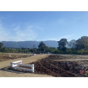 ID :  - ประกาศขาย ที่ดิน - เท่าทุน