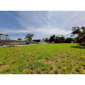 ขายที่ดิน 2 แปลงติดกัน 1 ไร่ 3 งาน 64 ตร.ว  สุขุมวิท101 ซอยปุณณวิถี39 