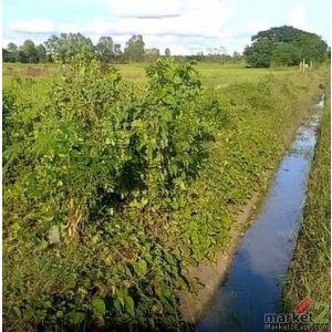 ที่ดิน ขายที่ดินทุ่งนา บ้านนาเพียง ต.สำราญ อ.เมืองขอนแก่น จ.ขอนแก่น พท. 24 ตาราง