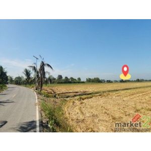 ขายบ้าน บางเลน นครปฐม | บ้านพร้อมที่ดิน 450 ตร.วา ทำสวนต้นไม้ มีรายได้จริง