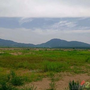 ขายที่ดินเขาซก หนองใหญ่ ชลบุรี แปลงสวย ทำเลดี เขตfree zone FP-L01834 