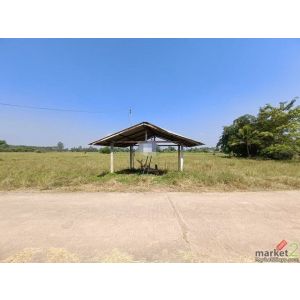 ขายที่ดินว่างเปล่า ซอยร่วมใจ 1 ถนนแก้วดำริ อำเภอพิชัย อุตรดิตถ์