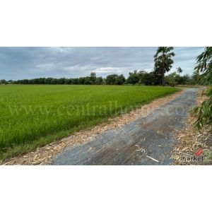 ลดด่วน ที่ดิน 9-3-99.5 ไร่ ดอนโพธิ์ - สุพรรณบุรี มีผู้เช่า ทำเลดี