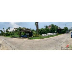 ที่ดินสวนออร์แกนิค 5 ไร่ ทำเลศักยภาพ ใกล้วัดไร่ขิง–ดอนหวาย–เซ็นทรัลศาลายา พื้นที