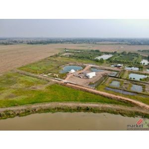 พื้นที่ดิน - พื้นที่ 2 ไร่ 0 Ngan 0 ตร.วา  1160000 THAI BAHT ไม่ไกลจาก วัดมณีวงษ