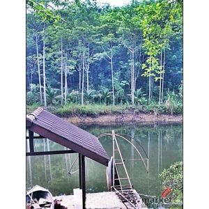 รหัส:  สวนยาง ไม้กฤษณา จันทบุรี 44ไร่ sale ที่ดิน สวนยาง-ไม้กฤษณา วิวเขา จันทบุร