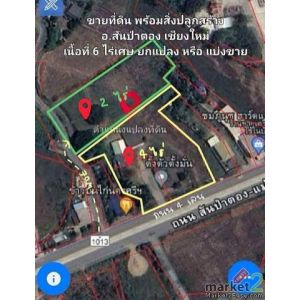 ขายที่ดิน  4 ไร่ และ 2 ไร่  ติดถนนใหญ่ ทางหลวง 1013 (4เลนส์) สันป่าตอง ทางไปแม่ว