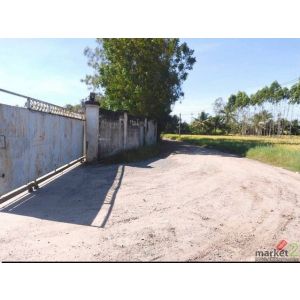 #ขายด่วนโรงงานพร้อมที่ดิน13-0-70 ไร่หนองเหียง – พนัสนิคม – ชลบุรี 