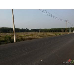 ขายที่ดินใกล้ริมแม่น้ำโขง อำเภอบึงกาฬ จังหวัดบึงกาฬ เนื้อที่ 17 ไร่ 60 ตารางวา(โ