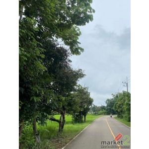 ที่ดินเปล่า วิวสวย บรรยากาศดี ธรรมชาติ แม่ริม             