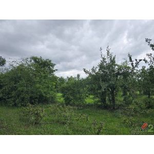 ขายที่ดิน ประจวบ พื้นที่ 5 ไร่ ต.อ่าวน้อย  อ.เมือง จ.ประจวบคีรีขันธ์ 