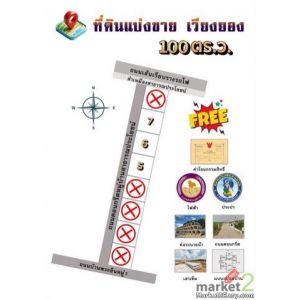 ขายที่ดิน3  แปลงสุดท้าย แปลงละ 100   ตรว     เวียงยอง  เมืองลำพูน