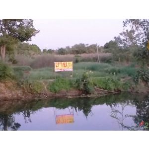 ขายที่ดินเปล่า 3-1-14 ไร่ ทำเลสวย ใกล้ บ.เวิร์คพอยท์, ม.ธรรมศาสตร์ อ.เมือง จ.ปทุ