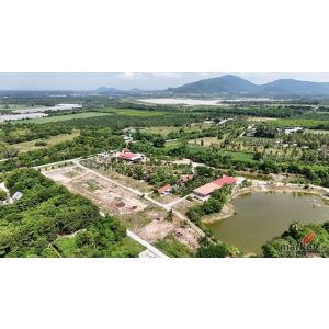 ขายที่ดินบ้านบึงชลบุรี ขายที่ดิน 8 ไร่ 1 งาน 77 ตารางวา ที่ดินตัดเป็นล็อคละ 1 ไร