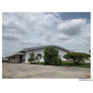  ให้เช่าโกดัง 2700 ตารางเมตร พื้นที่ 9 ไร่ 1 งาน 3 ตารางวา เป็นพื้นที่สีเขียว ต.