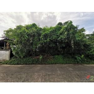 ขายที่ดินว่างเปล่า  อำเภอเมืองอุบลราชธานี อุบลราชธานี