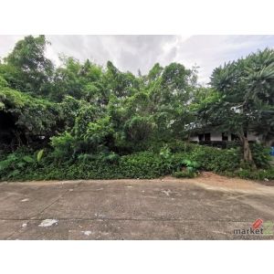 ขายที่ดินว่างเปล่า อำเภอเมืองอุบลราชธานี  อุบลราชธานี