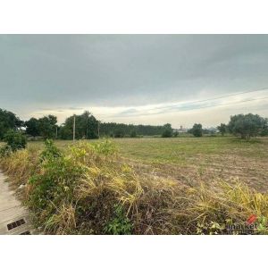 ขายที่ดินเปล่าบ่อวิน ศรีราชา แปลงสวย ทำเลทอง ราคาดี FP-L01884 