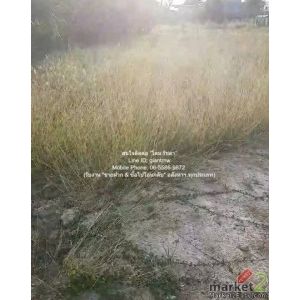 ที่ดิน ขายที่ดินเปล่าถมแล้ว 200 ตร.ว. ติดถนนพุทธมณฑลสาย 1 ราคา 30,000,000 บาท (1