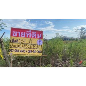 ขายที่ดินบางแก้ว ราคาถูก 192 ตารางวา   ซอยคอนโดอารียา  ใกล้เมกะบางนา  สวยพร้อมพั