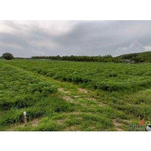 ขายที่ดินแปลงสวย ราคาดี นิคมพัฒนา ระยอง  FP-L01885 