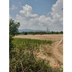 ขายที่ดินคลองกิ่วชลบุรี เนื้อที่ 63-2-29 ไร่ (แบ่งขายได้)ตำบลคลองกิ่ว อำเภอบ้านบ