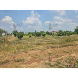 ขาย ที่ดินเปล่า 1 ไร่ ทำเลน่าอยู่ใกล้ตัวเมืองนครนายก รายล้อมด้วยตลาด โรงพยาบาล |