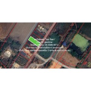 รหัส  DSL-1130.3 FOR SALE ที่ดิน ขายที่ดินเปล่า(ยังไม่ได้ถม) 0-1-0 ไร่ (100 ตร.ว