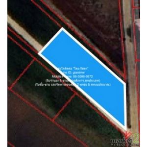 พื้นที่ดิน ขายที่ดินไร่สวนทางการเกษตร (ติดถนน และติดเขา) 530000 บ.  1 ไร่ 0 ngan