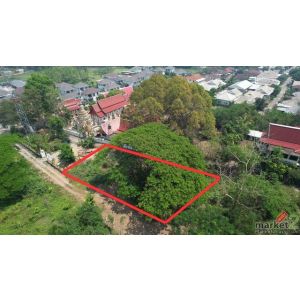 ขายที่ดินสารภี ใกล้เมืองเชียงใหม่ 200 ตร.วา ราคาถูก ทำเลดี ท่าวังตาล