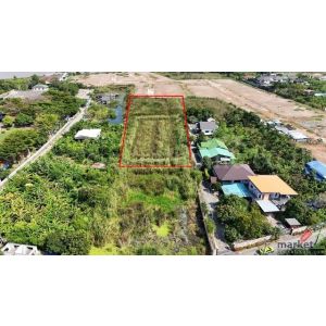 ขายด่วน ที่ดินเปล่า 4-1-61 ไร่ ท่าอิฐ 15 แยกตาลเดียว - วัดบางบัวทอง นนทบุรี