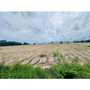 ขายที่ดินอุตสาหกรรม ระยอง ผังสีม่วงเข้ม มาบยางพร ปลวกแดง 43 ไร่ ใกล้อมตะซิตี้ TP