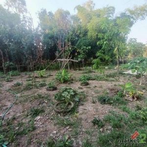 ขายที่ดินสวย รูปสี่เหลี่ยมผืนผ้า  239 วา สะแกกรัง  เมืองอุทัยธานี  ใกล้ศาลากลางจ