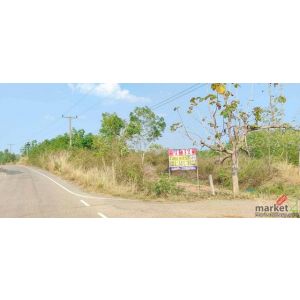 ขายที่ดินสวนยางพร้อมกรีด ราคาถูก 161-0-52 ไร่  คำบง บ้านผือ อุดรธานี  