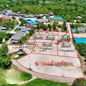 ขายถูกมาก!! ที่ดินแบ่งแปลง 135 - 199.5 ตร.ว. ทำเลทอง อ.เมือง จ.ระยอง