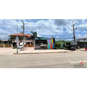 ขายโกดัง พิษณุโลก 3 ไร่ 3 งาน 56.1 ตร.ว อำเภอวังทอง จังหวัดพิษณุโลก