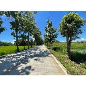 ที่นา วิวสวย ติดถนนคอนกรีต มี น้ำ ไฟ สันกำแพง       