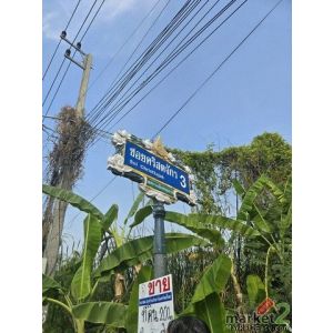 ที่ดิน - ไม่ไกลจาก โรงเรียนปทุมวิไล ศาลากลางปทุมธานี โลตัสปทุมธานี โรงพยาบาลปทุม