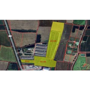 ขายที่ดินพร้อมสวนไม้เศรษฐกิจ 35 ไร่ 68 ตร.ว. โฉนดครุฑแดง ติดถนนสาย 1119 อ.พนมรอก