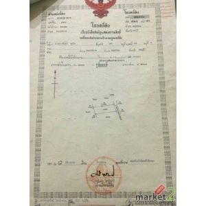 ขายที่ดินสวยราคาถูกชลบุรี ขายที่ดินหนองขยาดพนัสนิคม เนื้อที่ดิน  319  ตรว( 1 โฉน