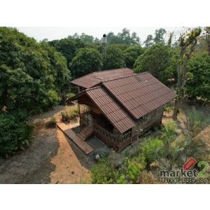 ขายที่ดินพร้อมสิ่งปลูกสร้าง สันทราย ออร์เชิร์ด 3 ไร่ 45 ตร.วา หลังมหาวิทยาลัยแม่