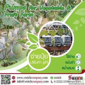 Dosing pump ปั๊มจ่ายพ่นปุ๋ย เข้าหัวสเปร์ย เพื่อการฉีดพ่นปุ๋ยได้ทั่วทั้งฟาร์ม 