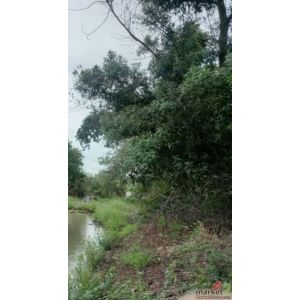 ขายด่วนทีดินเปล่า ขนาด1ไร่ตำบล บ้านแถว อำเภอเสนา จังหวัดพระนครศรีอยุธยา