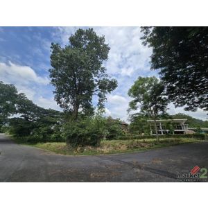 ขายที่ดินเขาใหญ่ แปลงมุม 289.9 ตร.ว ภูภัทรา 3 วิวธรรมชาติ ติดถนน 2 ด้าน