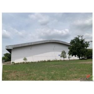 ให้เช่าโกดัง เนื้อที่รวม 9 ไร่ อ.วังน้อย ระบบไฟฟ้า-ประปา ปรับปรุงใหม่ พร้อมใช้งา