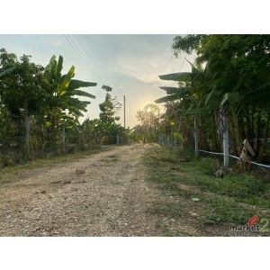 ขายที่ดินพนัสนิคมชลบุรี  โคกหนองนาโมเดล ห่างถนนเส้นหลัก เกาะโพธิ์-พนัสนิคม  300 