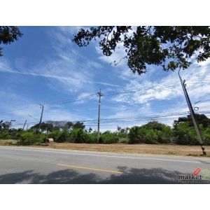 ขายที่ดินพัทยา 31 ไร่ 2 ตรว. ต.หนองปรือ อ.บางละมุง จ.ชลบุรี