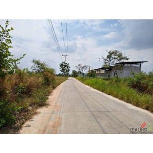 ให้เช่าที่ดินพานทองชลบุรี ให้เช่าที่ดินเปล่า 60 ไร่ ต.หนองหงษ์ อ.พานทอง จ.ชลบุรี