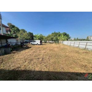 BL179 ขายที่ดิน สายไหม 32 กรุงเทพ 200 ตร.ว. แบ่ง 4 แปลง เหมาะปลูกบ้าน ทำเลเงียบส